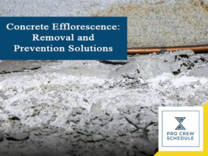 Concrete Efflorescence